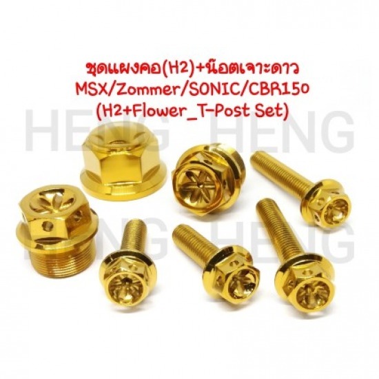 น๊อตทอง น๊อตทอง 